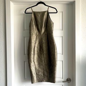 Sheath silverish beige with back slit